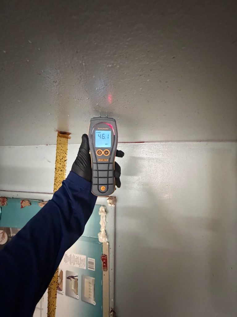 Moisture meter held against a ceiling, showing a wet reading